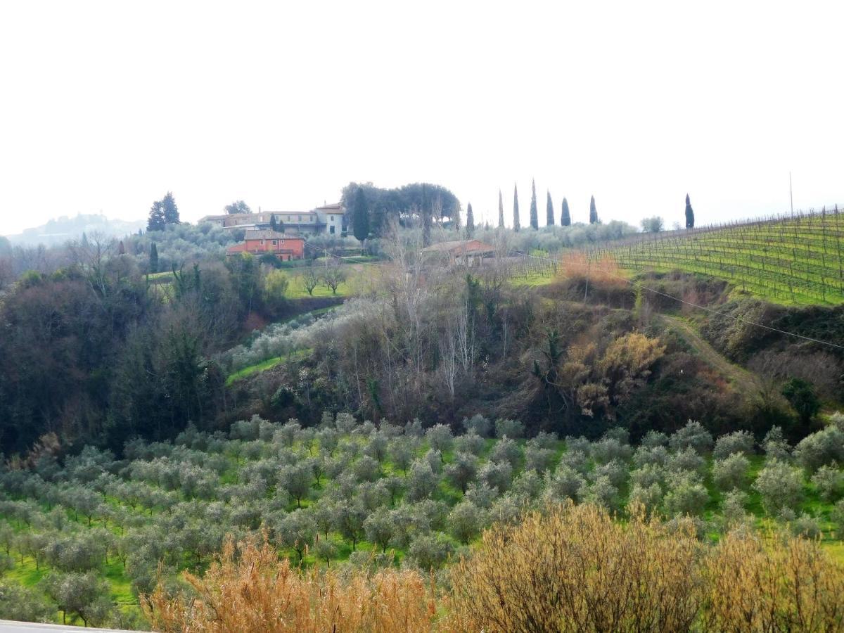 Agriturismo Terre Di Toscana Terricciola Kültér fotó